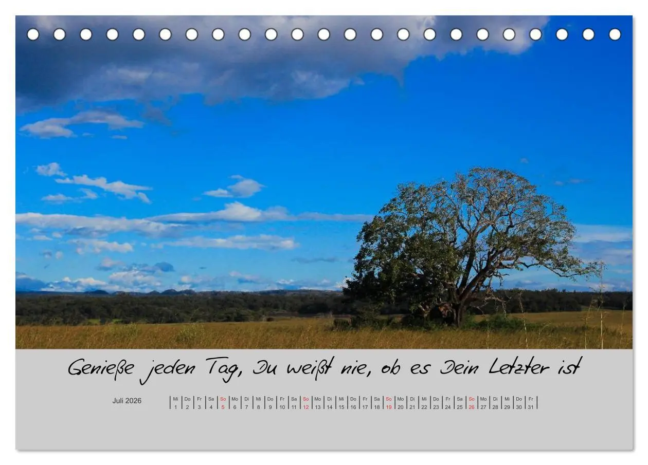 Bild: 9783516200126 | Kleine und große Wahrheiten - Sprüche zum Nachdenken (Tischkalender...