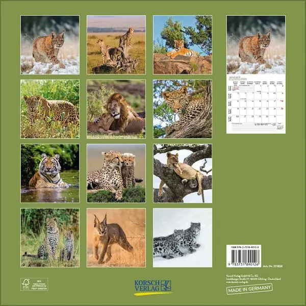Bild: 9783731890126 | Big Cats 2026 | Verlag Korsch | Kalender | 13 S. | Deutsch | 2026
