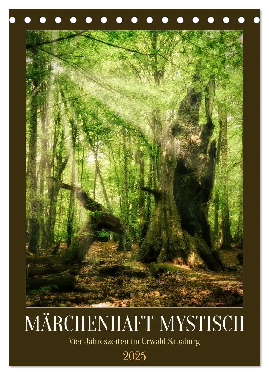 Cover: 9783435870226 | Märchenhaft mystisch (Tischkalender 2025 DIN A5 hoch), CALVENDO...