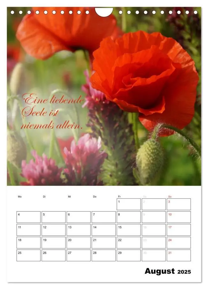 Bild: 9783457030226 | Schöne Sprüche für Dein ganzes Jahr (Wandkalender 2025 DIN A4...
