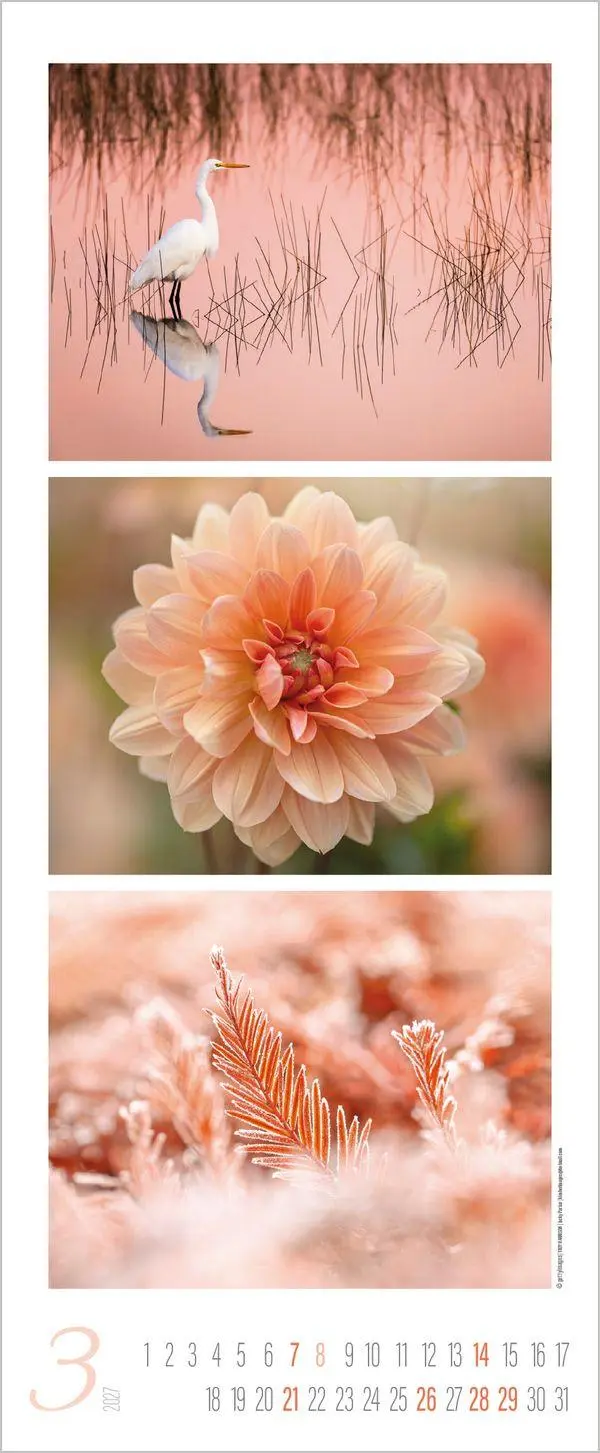Bild: 9783819300226 | Colour Triplets 2027 | Verlag Korsch | Kalender | Spiralbindung | 2027
