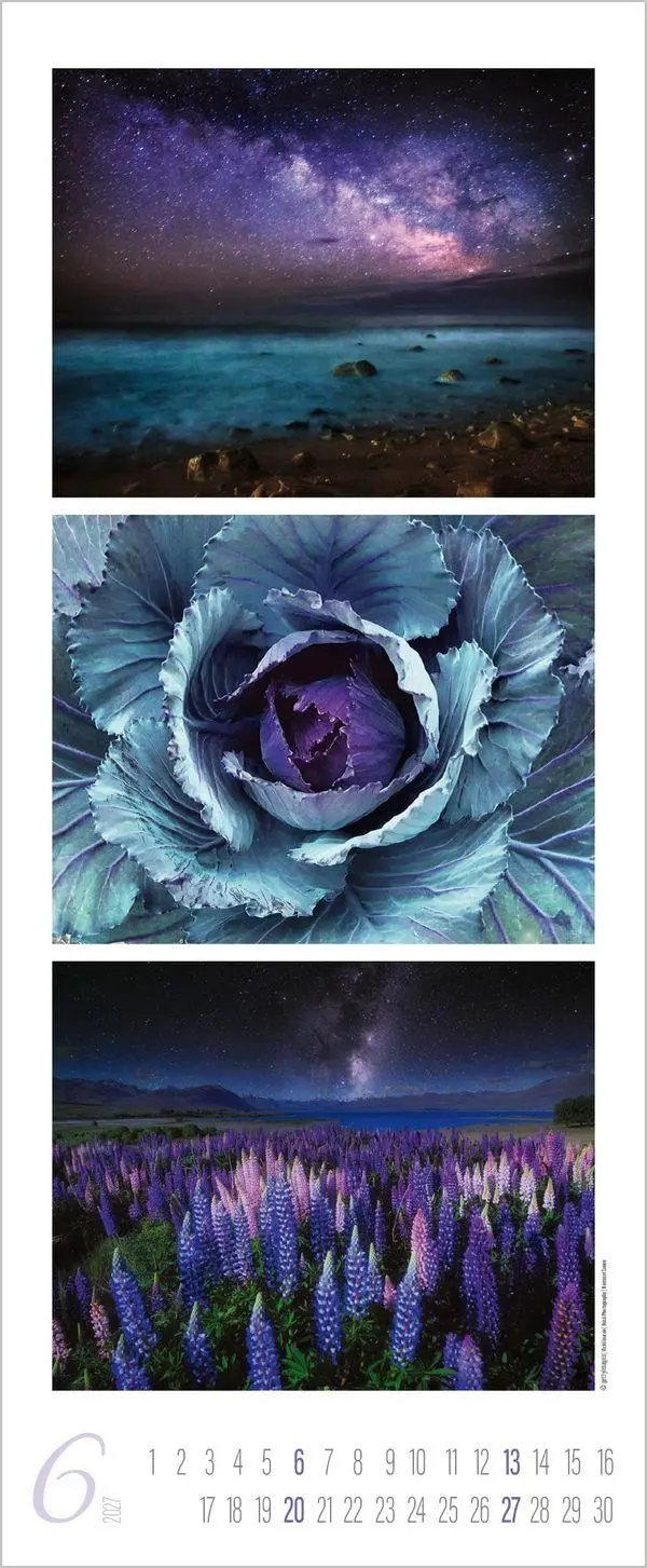 Bild: 9783819300226 | Colour Triplets 2027 | Verlag Korsch | Kalender | Spiralbindung | 2027