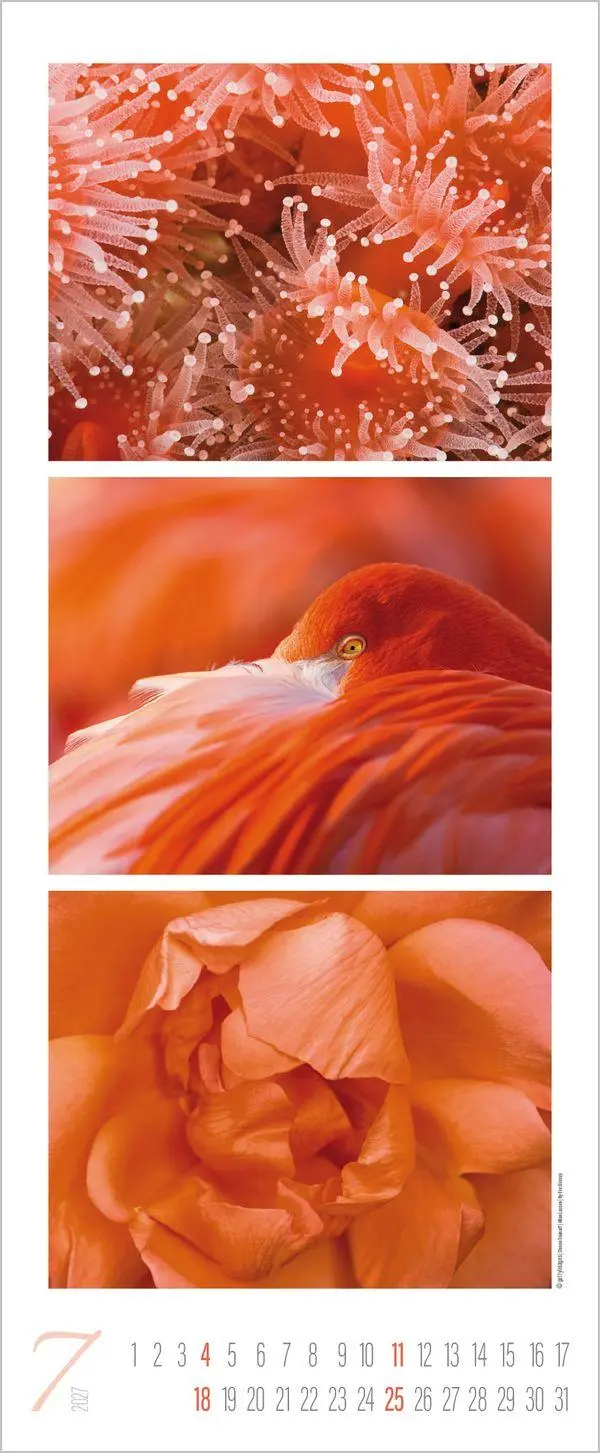 Bild: 9783819300226 | Colour Triplets 2027 | Verlag Korsch | Kalender | Spiralbindung | 2027