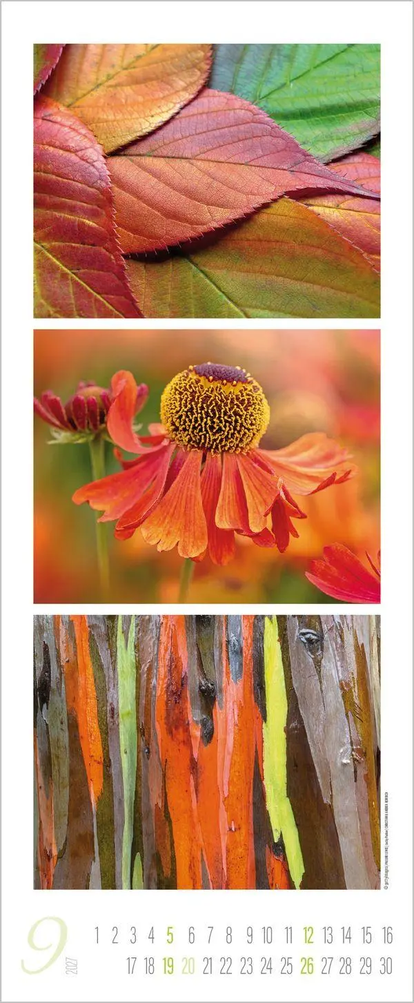 Bild: 9783819300226 | Colour Triplets 2027 | Verlag Korsch | Kalender | Spiralbindung | 2027