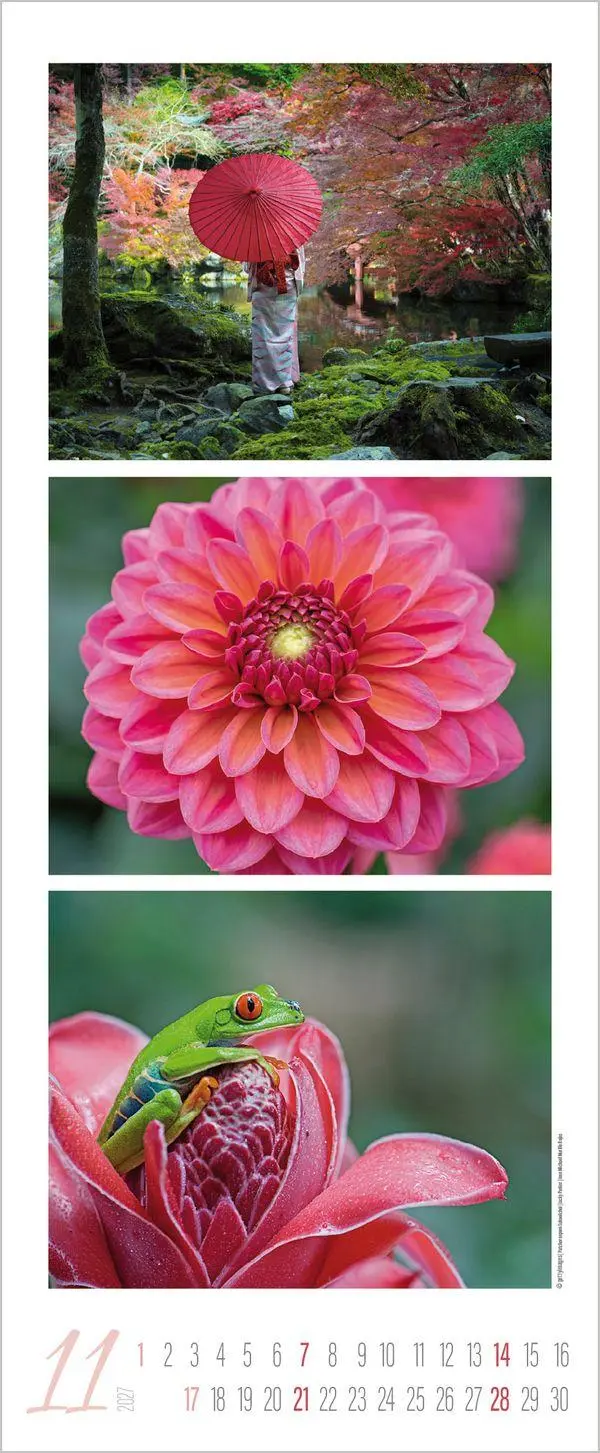 Bild: 9783819300226 | Colour Triplets 2027 | Verlag Korsch | Kalender | Spiralbindung | 2027