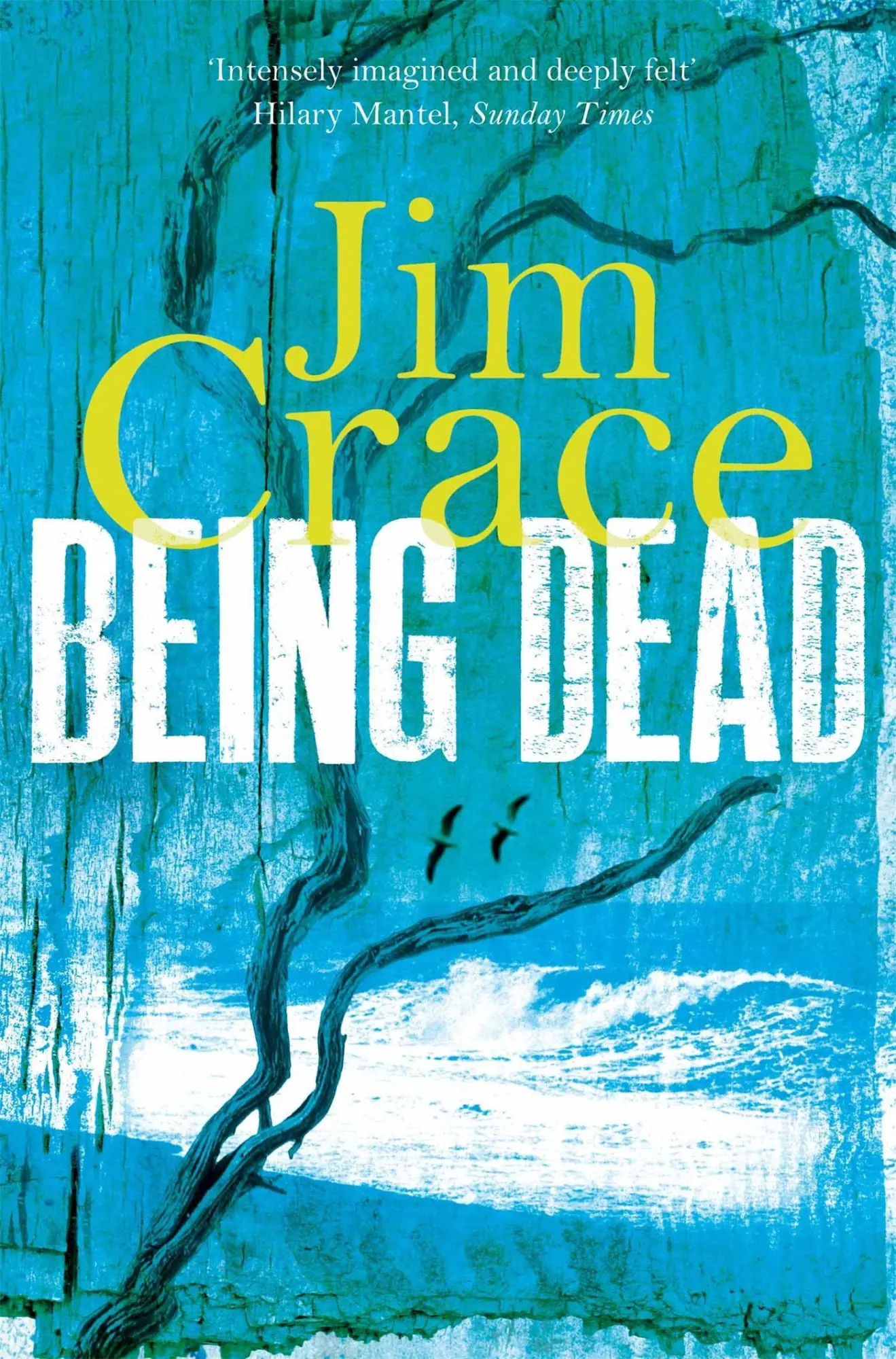 Cover: 9781447250326 | Being Dead | Jim Crace | Taschenbuch | Kartoniert / Broschiert | 2013