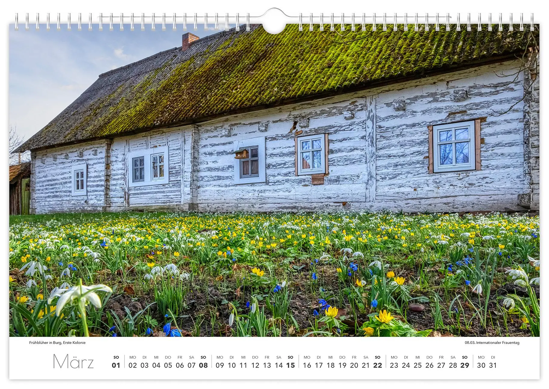 Bild: 9783910680326 | Kalender Spreewald 2026 | Peter Becker 45 x 30 cm weißes Kalendarium