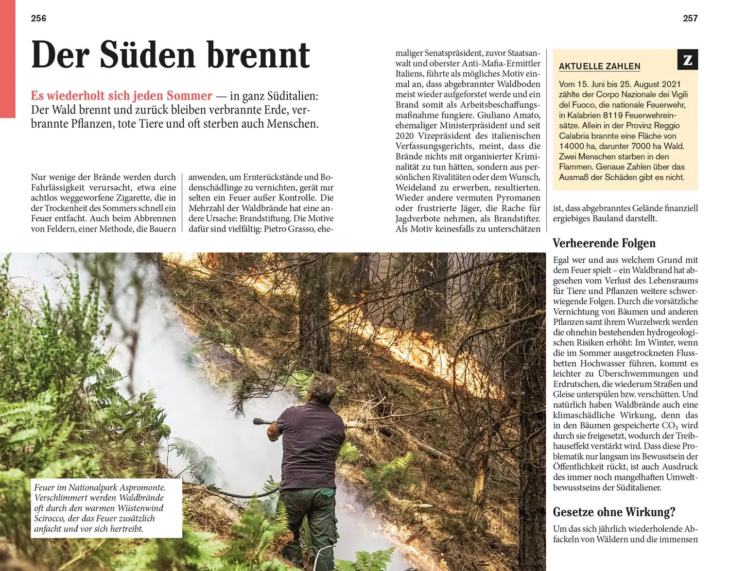 Bild: 9783616020426 | DuMont Reise-Taschenbuch Reiseführer Kalabrien | Ilona Witten | Buch