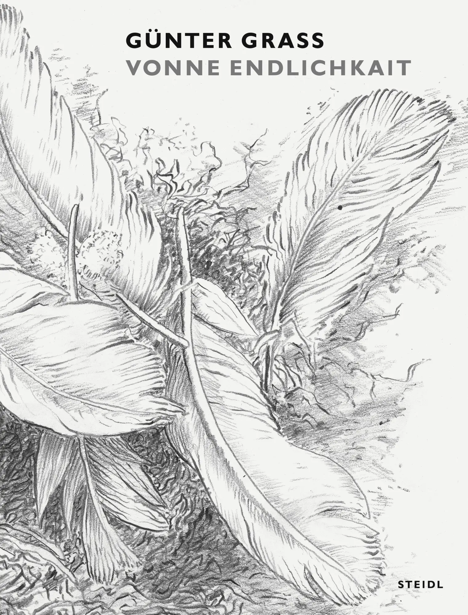 Cover: 9783958290426 | Vonne Endlichkait | Günter Grass | Buch | 184 S. | Deutsch | 2015