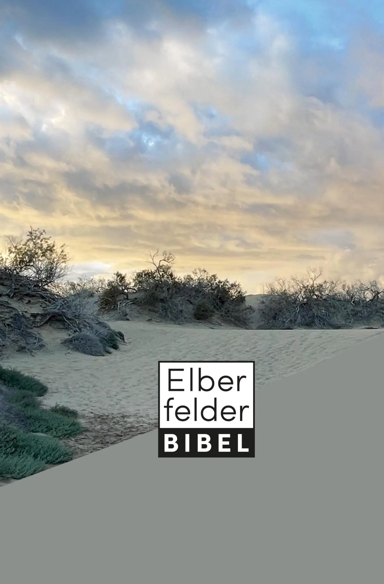 Cover: 9783417020526 | Elberfelder Bibel - Taschenausgabe, Motiv Dünen | Buch | 1616 S.