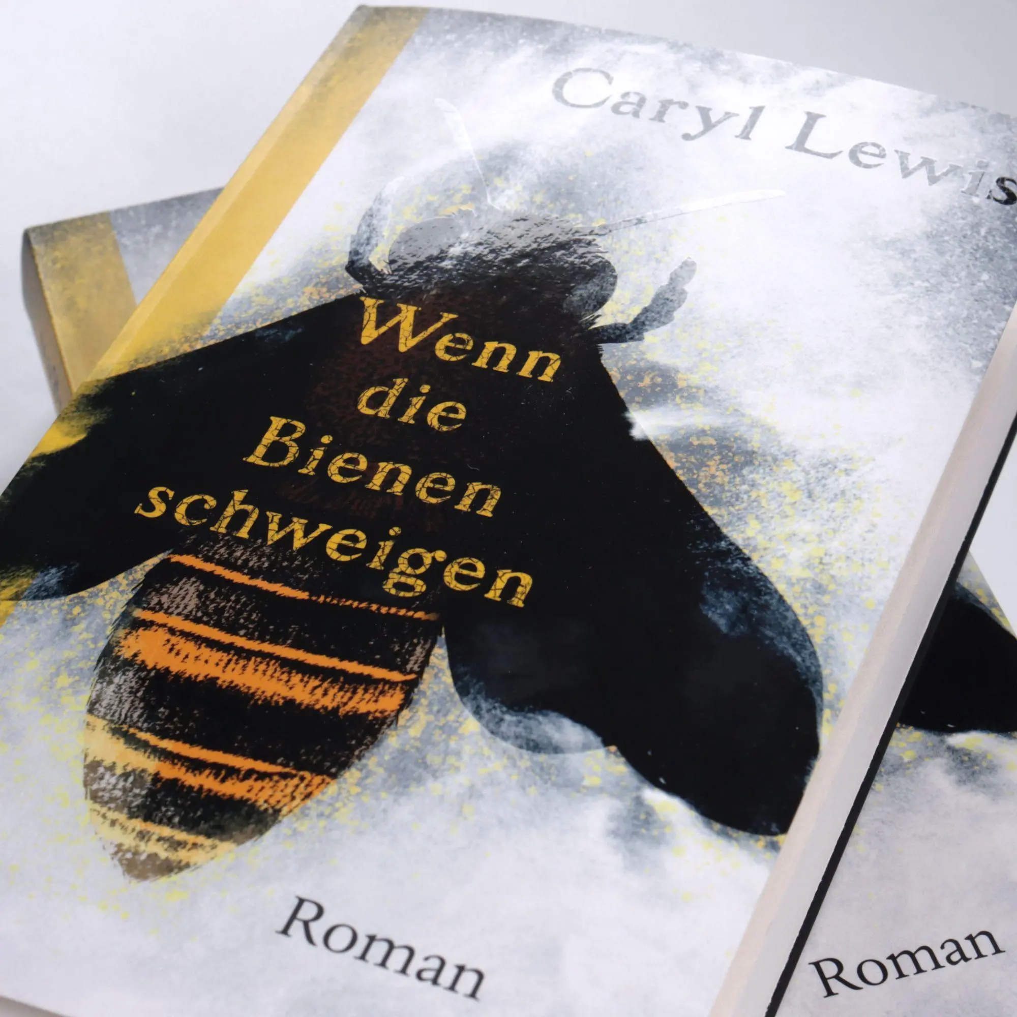 Bild: 9783423650526 | Wenn die Bienen schweigen | Caryl Lewis | Taschenbuch | 304 S. | 2026