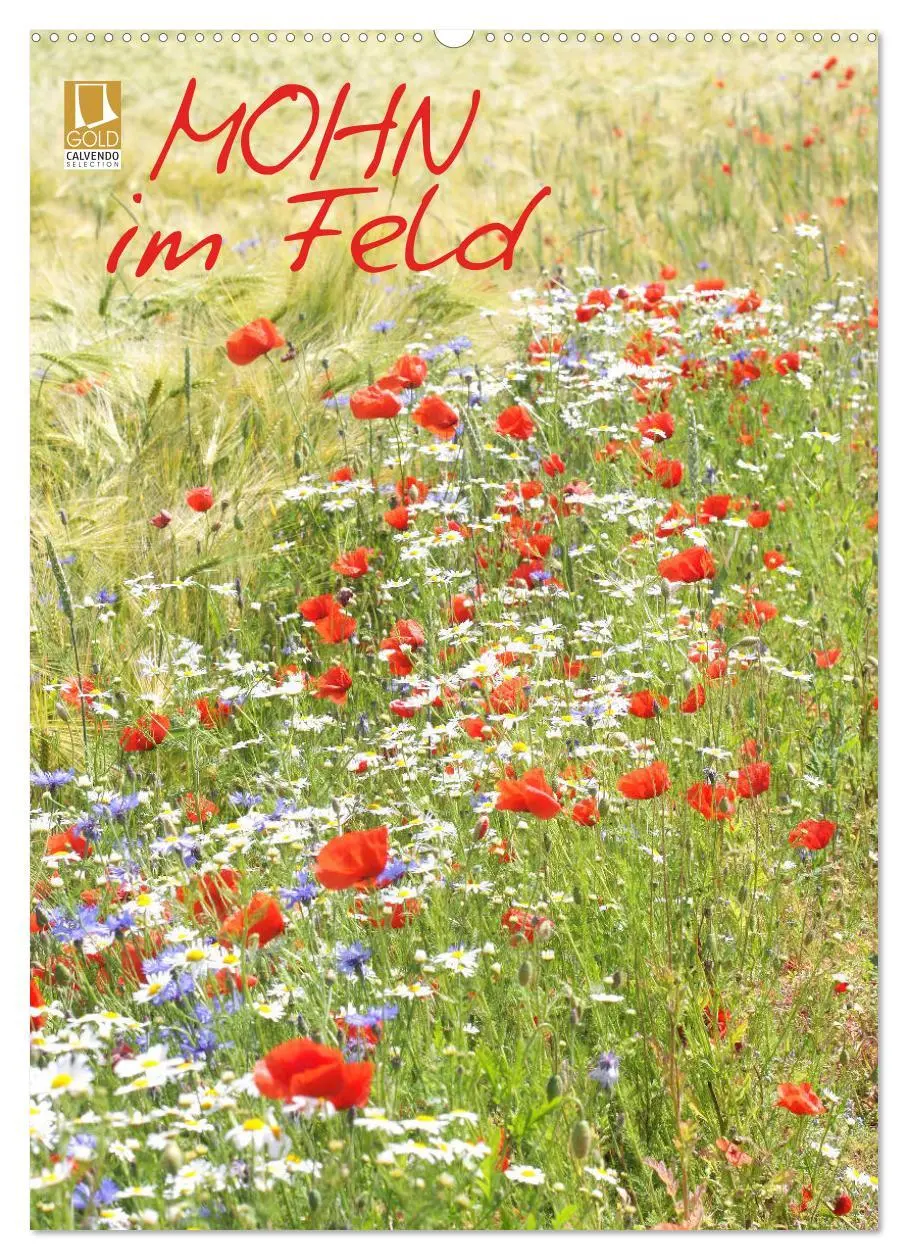 Cover: 9783516400526 | Mohn im Feld (Wandkalender 2026 DIN A2 hoch), CALVENDO Monatskalender