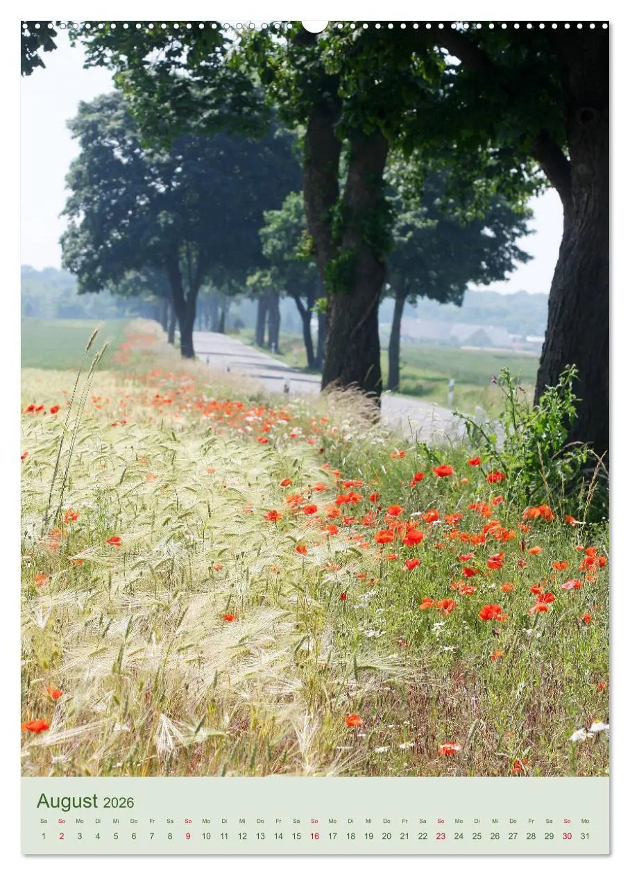 Bild: 9783516400526 | Mohn im Feld (Wandkalender 2026 DIN A2 hoch), CALVENDO Monatskalender