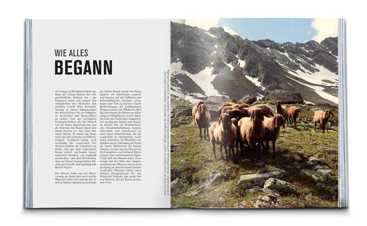 Bild: 9783991540526 | KOMPASS Bildband Spuren der Natur | Buch | 240 S. | Deutsch | 2023