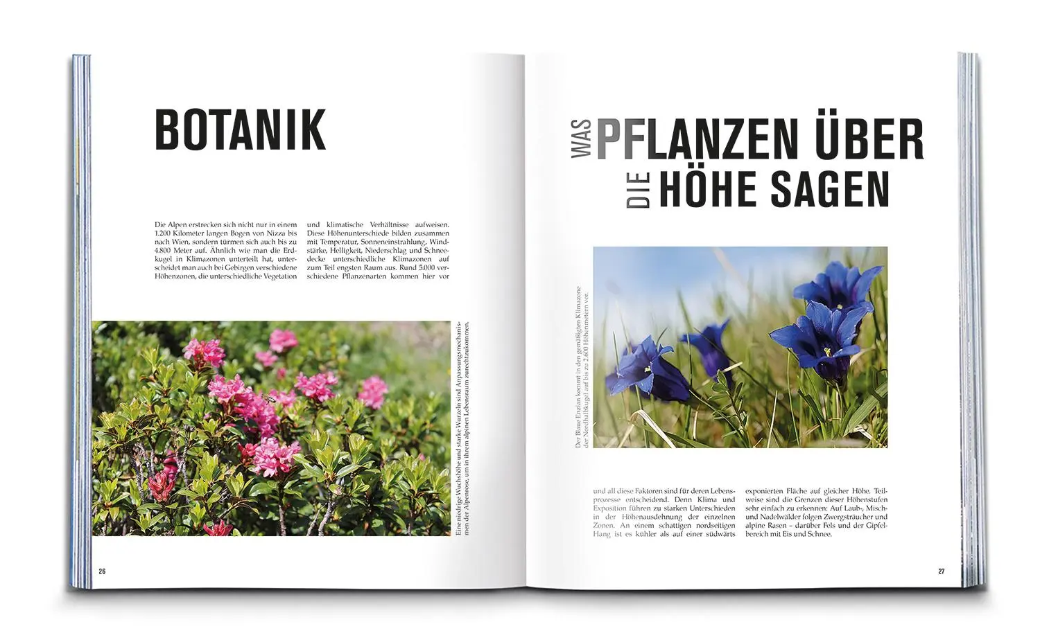 Bild: 9783991540526 | KOMPASS Bildband Spuren der Natur | Buch | 240 S. | Deutsch | 2023