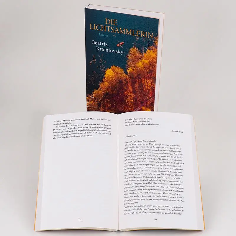 Bild: 9783446270626 | Die Lichtsammlerin | Roman | Beatrix Kramlovsky | Taschenbuch | 256 S.