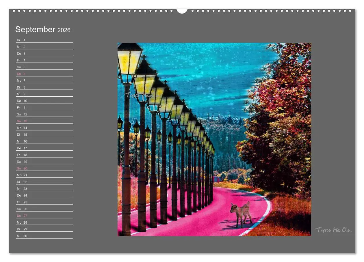 Bild: 9783516010626 | Schwarzwald. Anders. (hochwertiger Premium Wandkalender 2026 DIN A2...