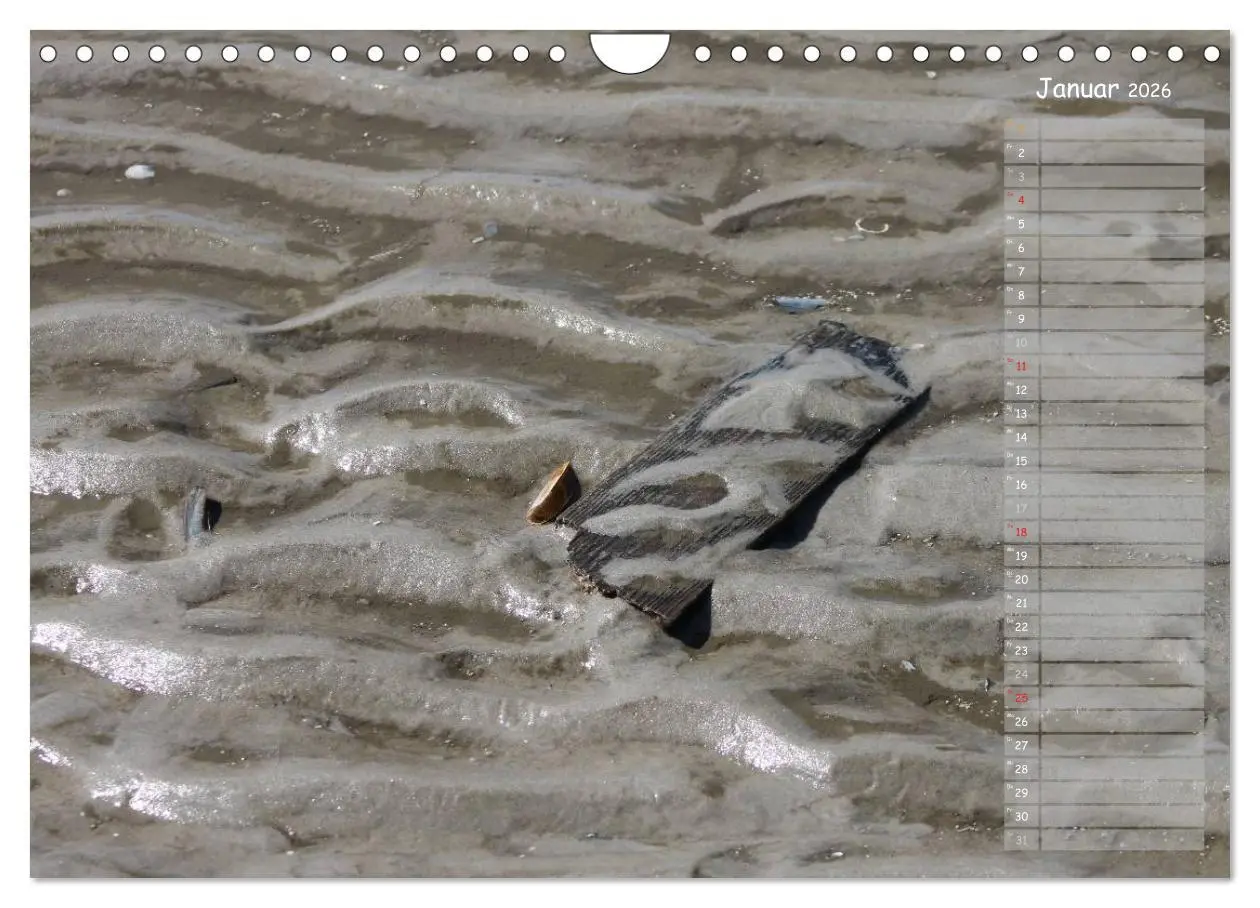 Bild: 9783516180626 | Strandspaziergang / Geburtstagskalender (Wandkalender 2026 DIN A4...