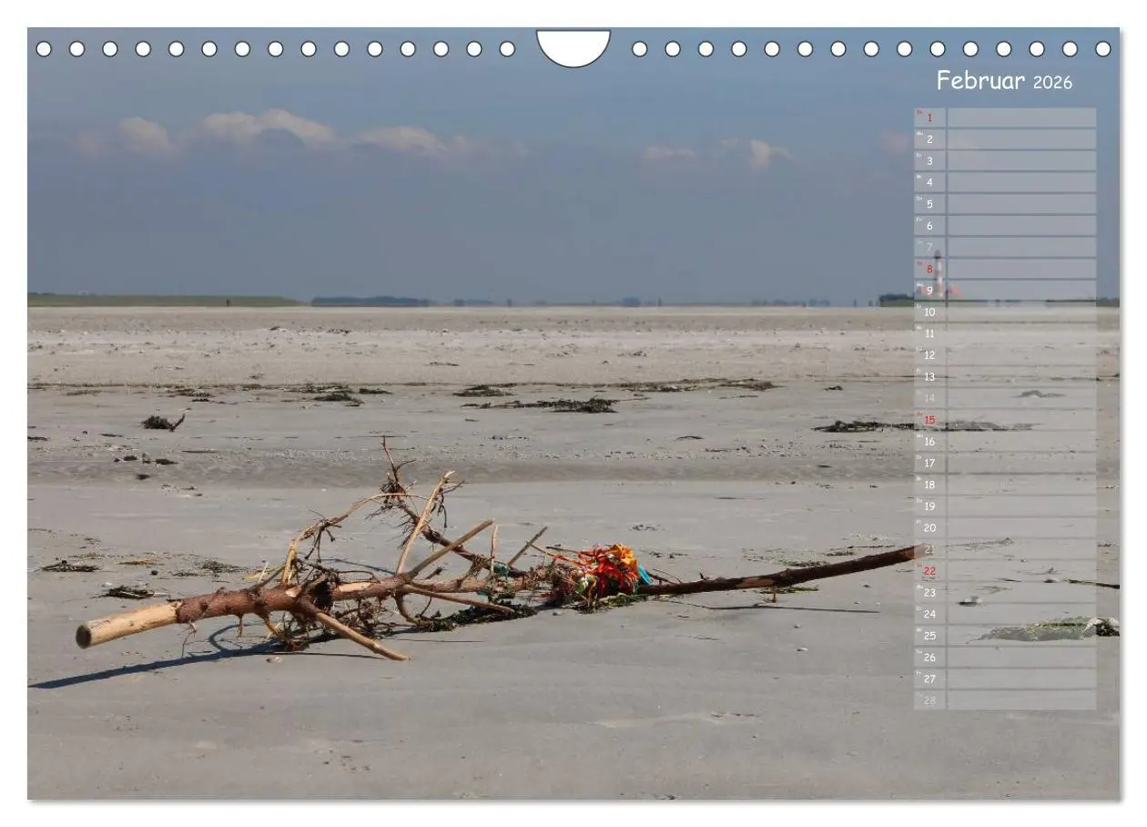 Bild: 9783516180626 | Strandspaziergang / Geburtstagskalender (Wandkalender 2026 DIN A4...