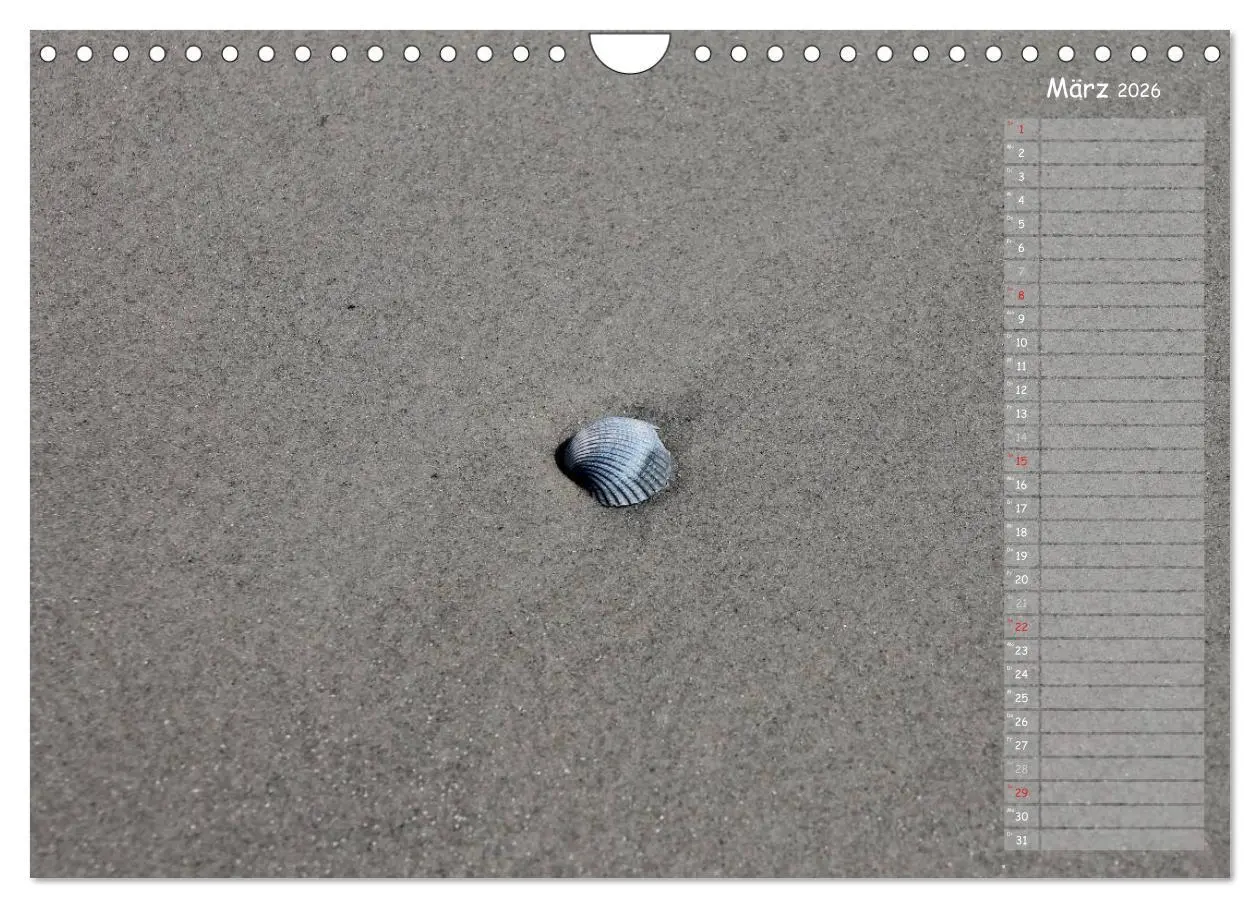 Bild: 9783516180626 | Strandspaziergang / Geburtstagskalender (Wandkalender 2026 DIN A4...