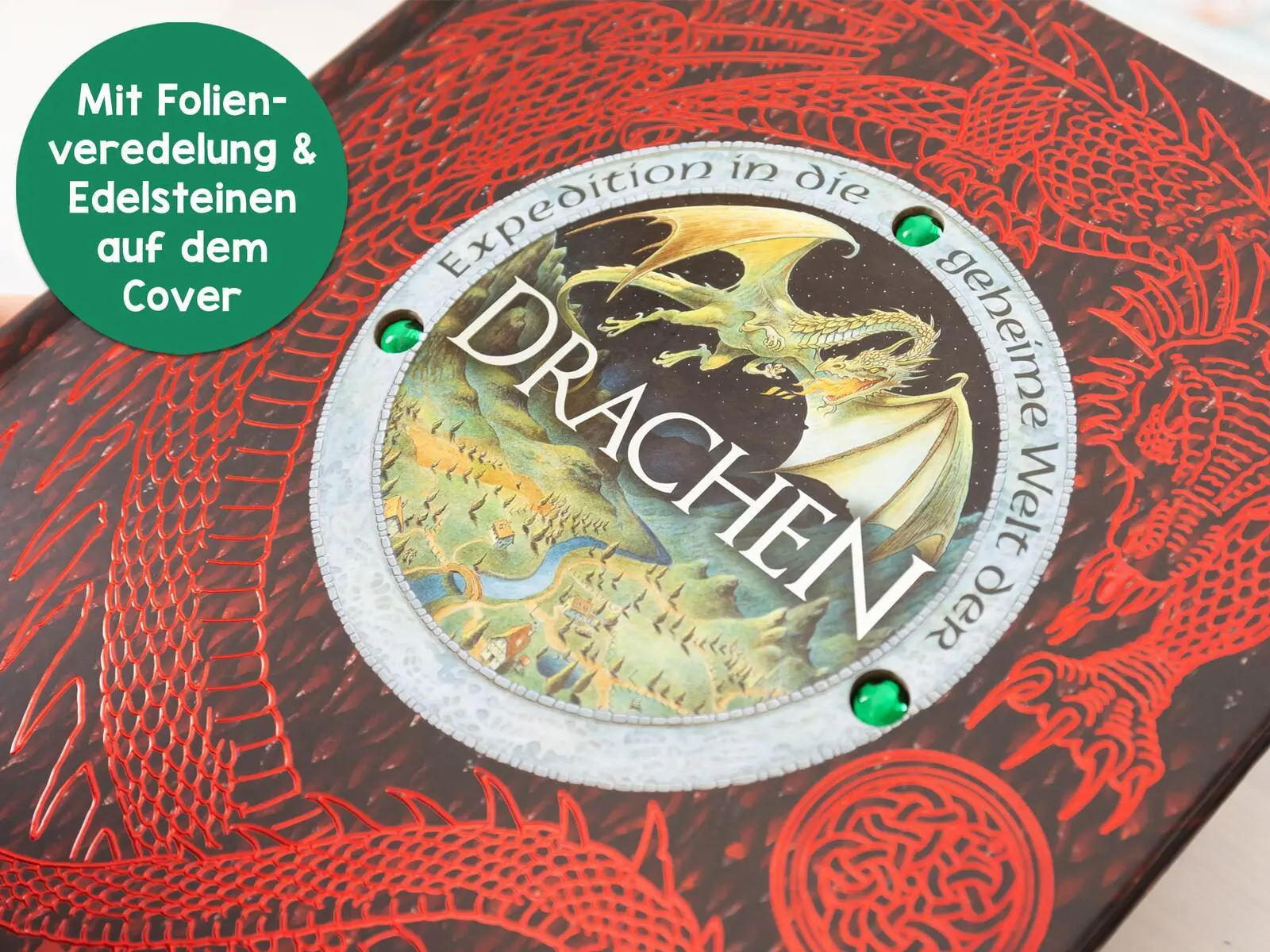 Bild: 9783845860626 | Expedition in die geheime Welt der Drachen | Ernest Drake | Buch