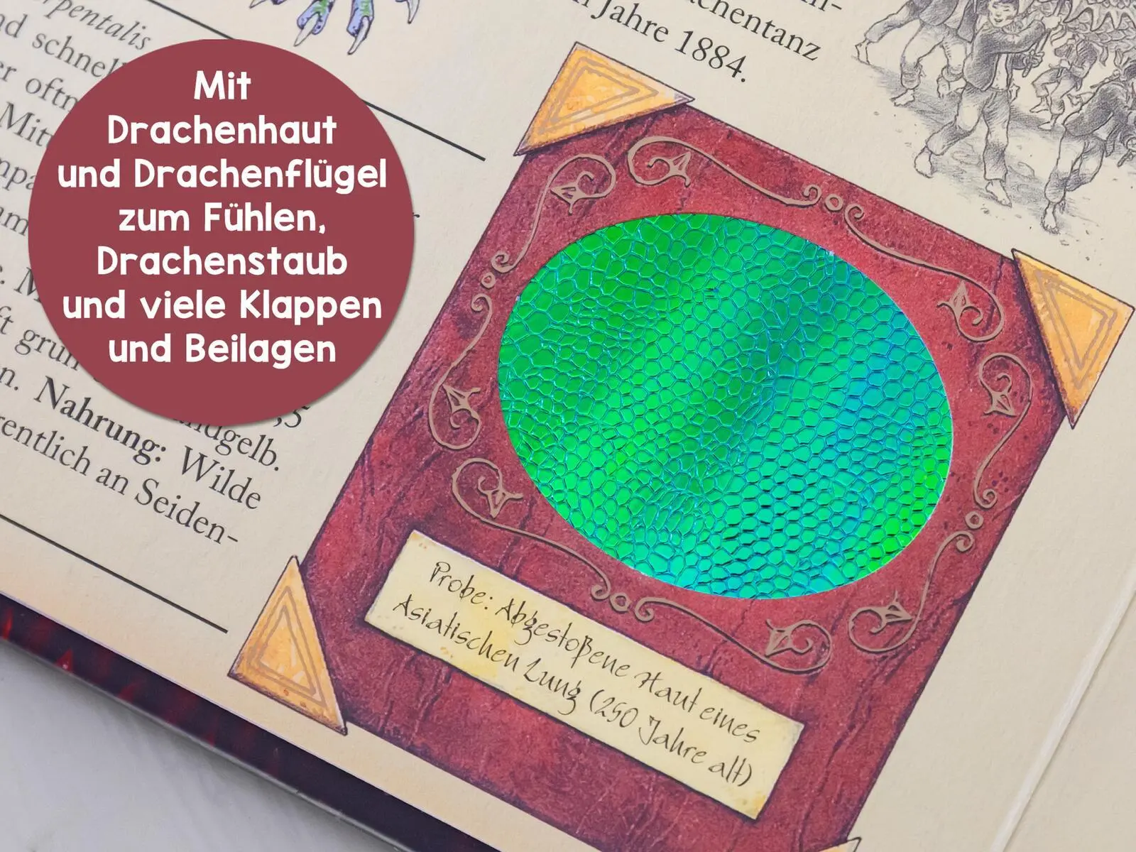 Bild: 9783845860626 | Expedition in die geheime Welt der Drachen | Ernest Drake | Buch