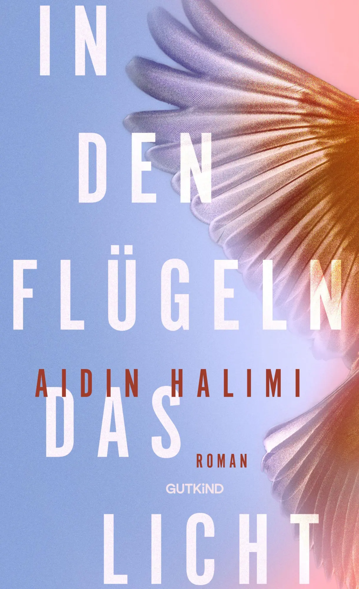 Cover: 9783989410626 | In den Flügeln das Licht | Aidin Halimi | Buch | 208 S. | Deutsch