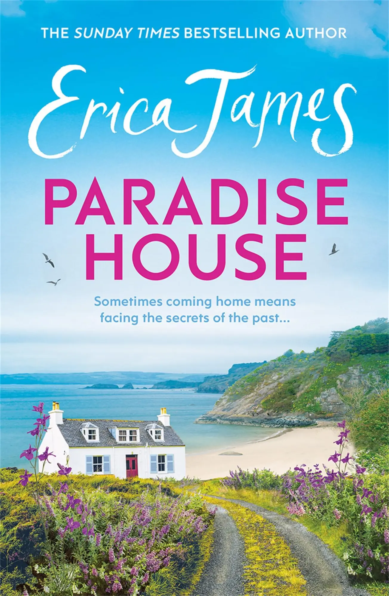 Cover: 9781398710726 | Paradise House | Erica James | Taschenbuch | Kartoniert / Broschiert
