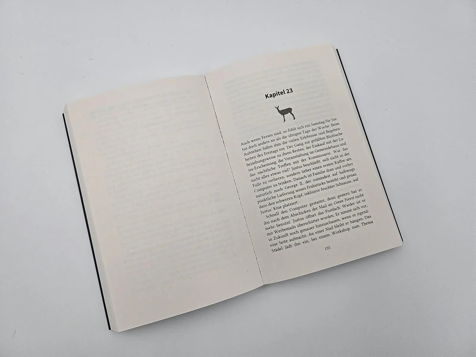 Bild: 9783492320726 | Baumsterben | Christoph Stoll | Taschenbuch | Forsthauskrimis | 320 S.