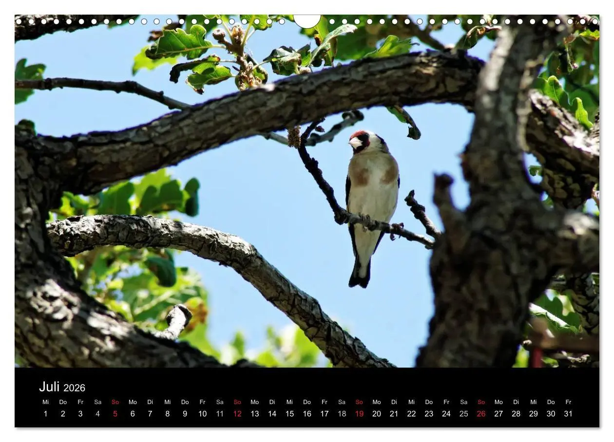 Bild: 9783516170726 | Kalabrien: Wo die Sonne Urlaub macht (Wandkalender 2026 DIN A3...