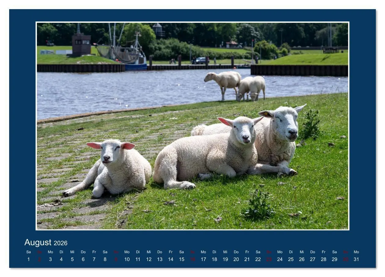Bild: 9783516610826 | Dangast. Impressionen eines besonderen Ortes. (Wandkalender 2026...