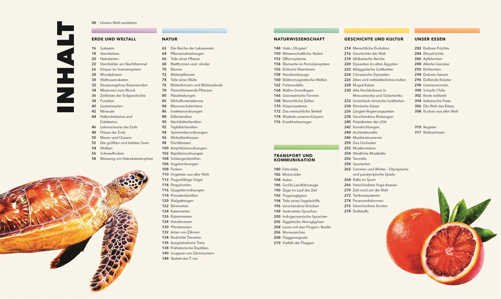 Bild: 9783831050826 | Universum des Wissens | Lizzie Munsey (u. a.) | Buch | 320 S. | 2025
