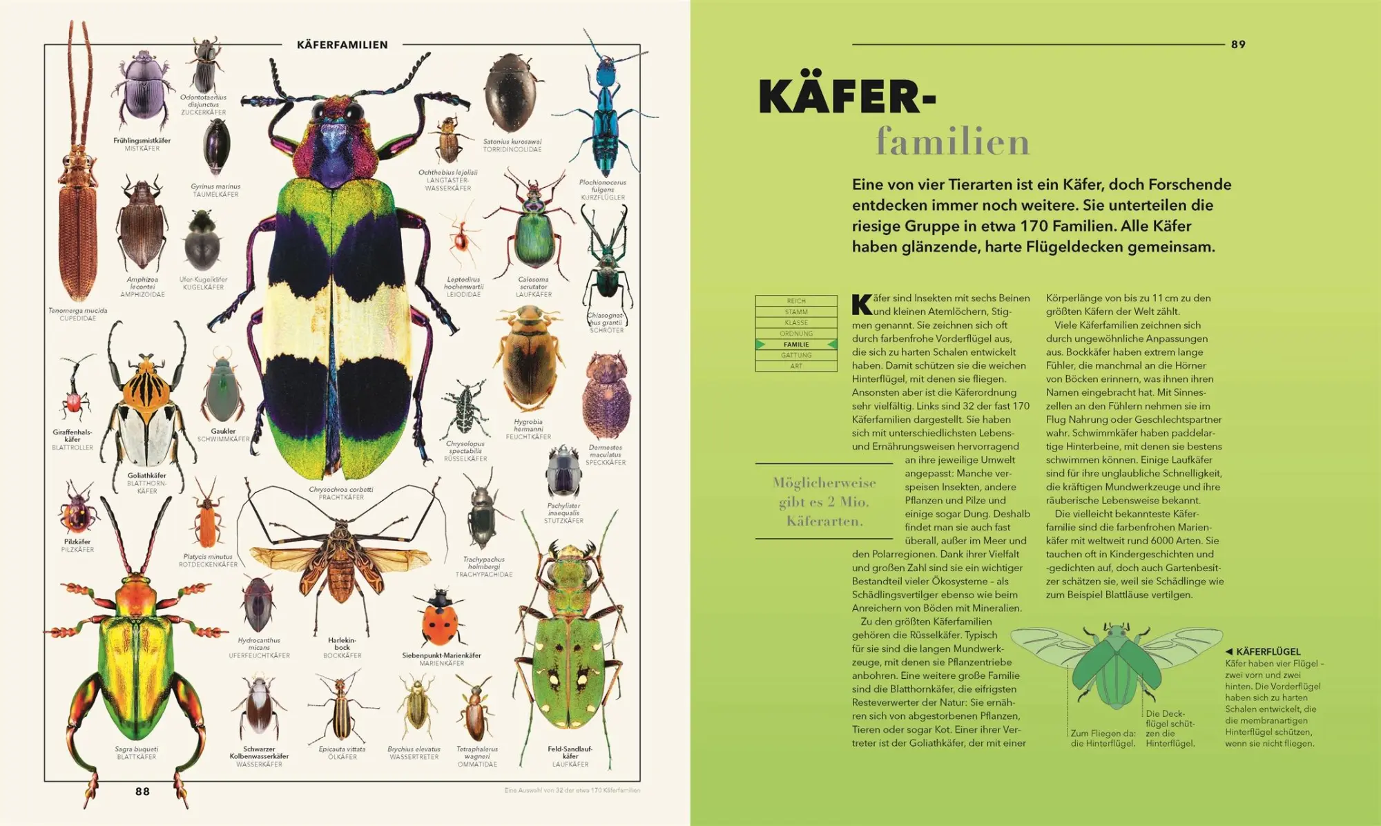 Bild: 9783831050826 | Universum des Wissens | Lizzie Munsey (u. a.) | Buch | 320 S. | 2025