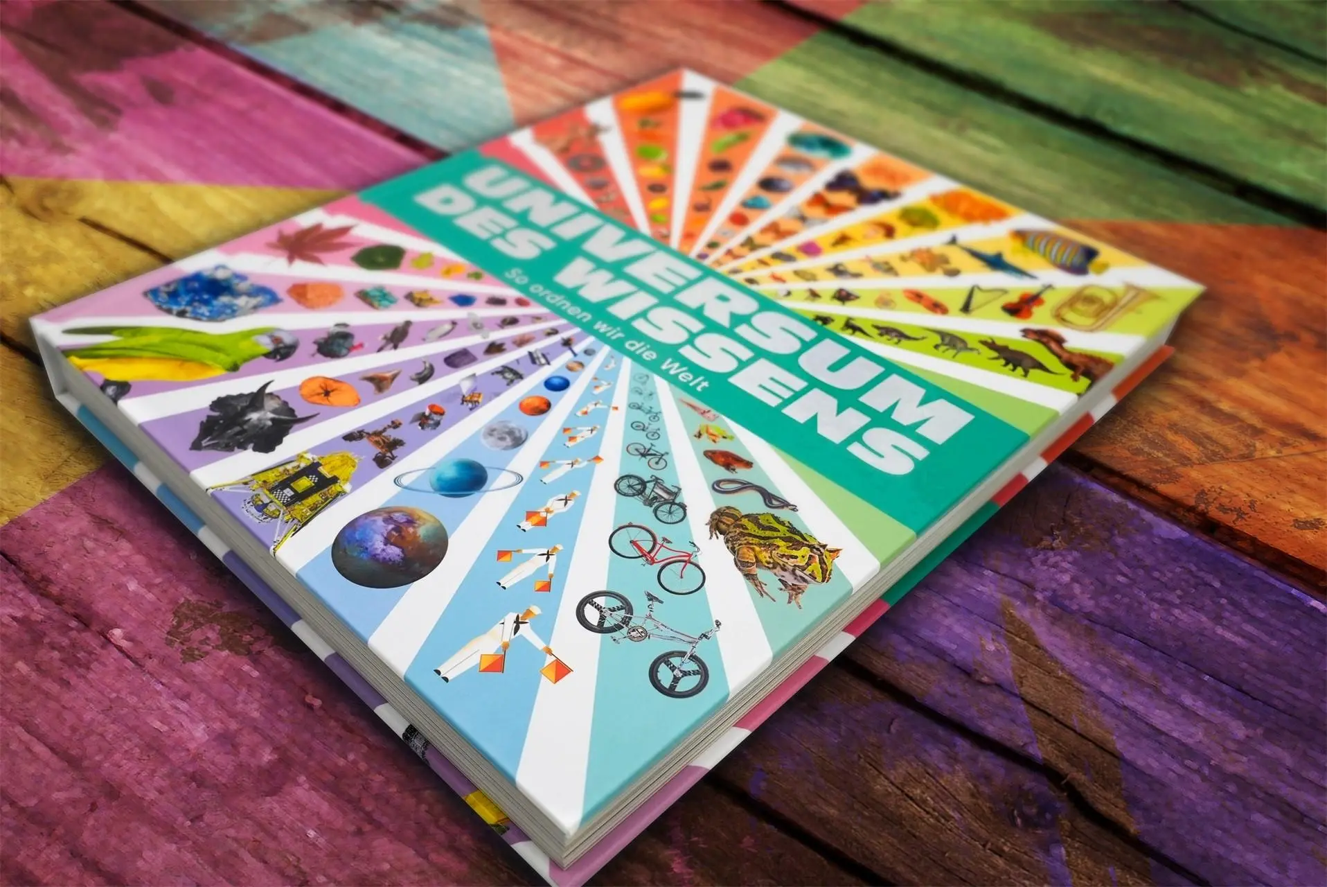 Bild: 9783831050826 | Universum des Wissens | Lizzie Munsey (u. a.) | Buch | 320 S. | 2025