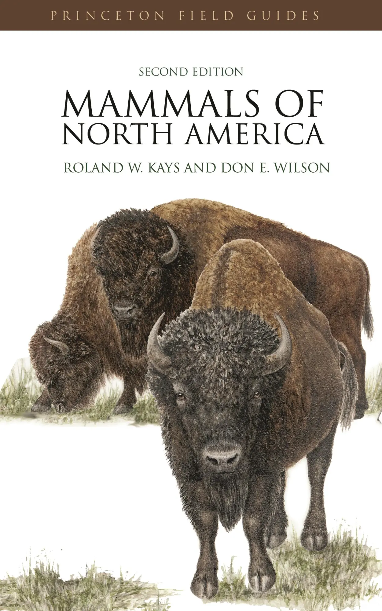 Cover: 9780691140926 | Mammals of North America | Roland W Kays (u. a.) | Taschenbuch | 2009