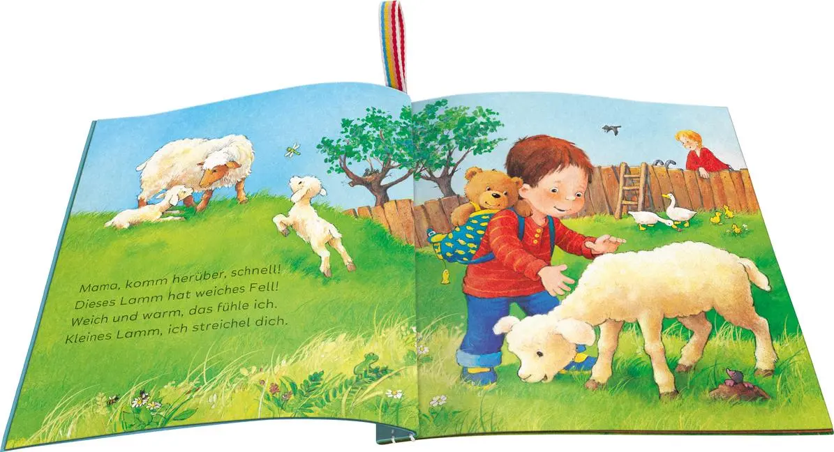 Bild: 9783473420926 | Mein Knuddel-Knautsch-Buch - Meine Tierkinder | Sandra Grimm | Buch