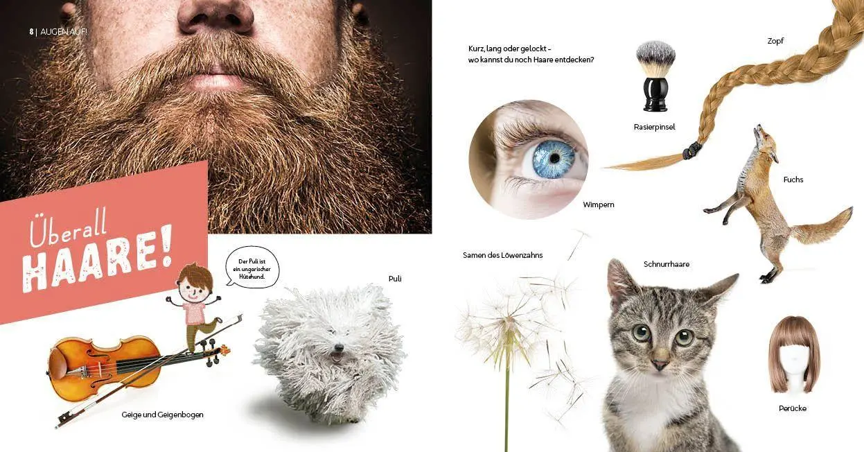Bild: 9783946360926 | Haare! | Geschichten und Experimente | Bobby Kastenhuber | Buch | 2026