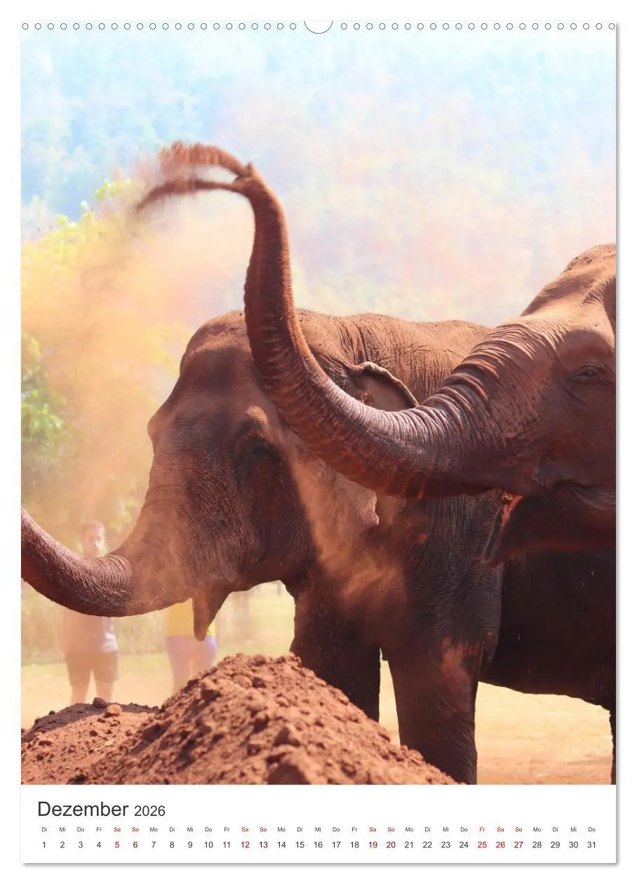 Bild: 9783516351026 | Elefanten - Die Herzeroberer der Tierwelt. (hochwertiger Premium...