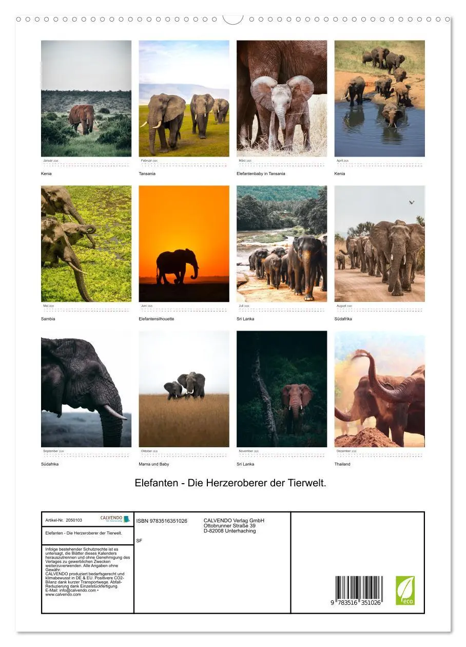 Bild: 9783516351026 | Elefanten - Die Herzeroberer der Tierwelt. (hochwertiger Premium...