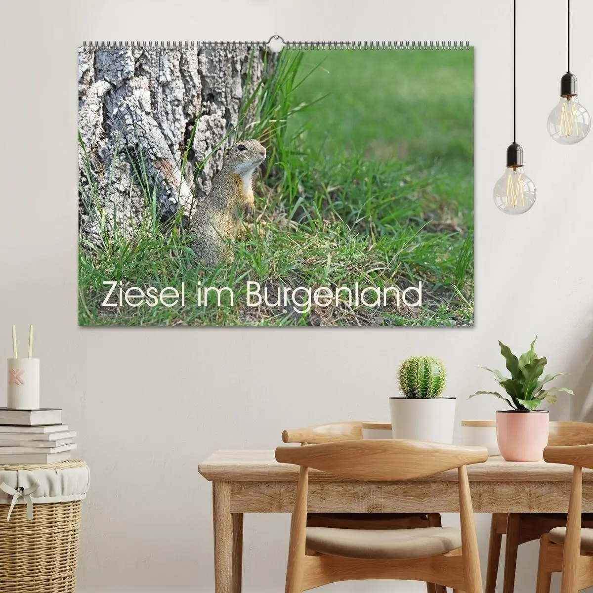 Bild: 9783516731026 | Ziesel im Burgenland (Wandkalender 2026 DIN A2 quer), CALVENDO...