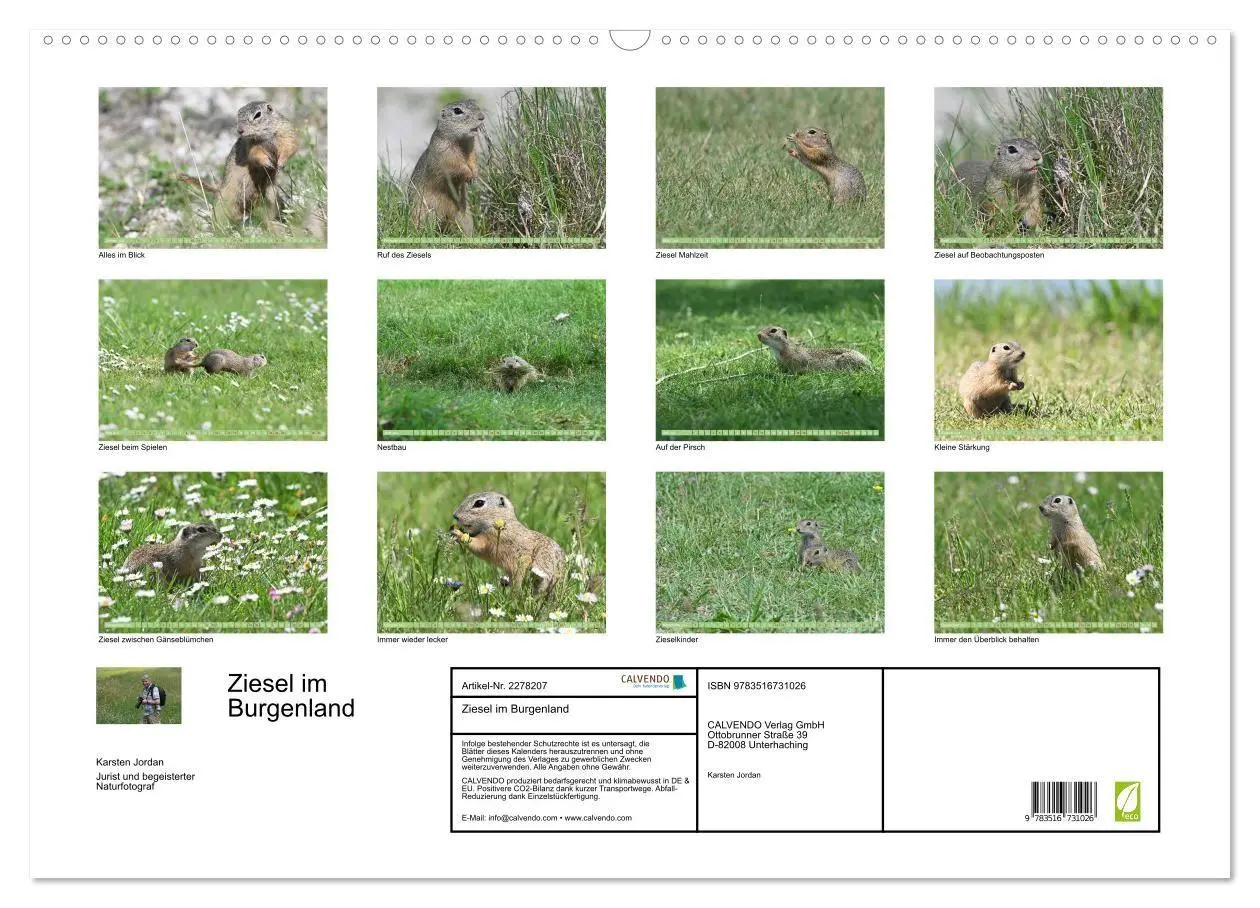 Bild: 9783516731026 | Ziesel im Burgenland (Wandkalender 2026 DIN A2 quer), CALVENDO...