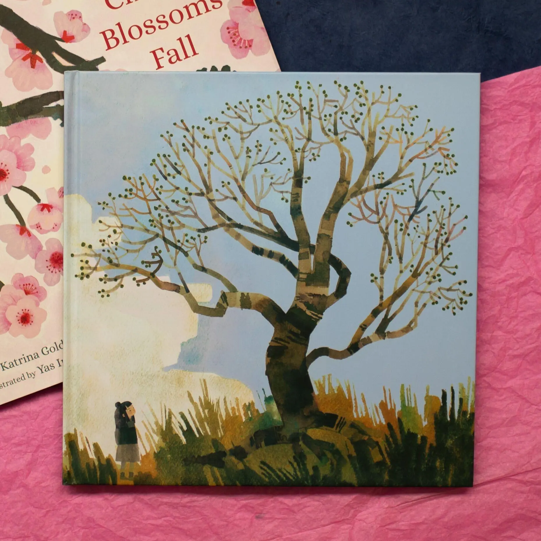 Bild: 9780316281126 | When Cherry Blossoms Fall | Katrina Goldsaito | Buch | Gebunden | 2026