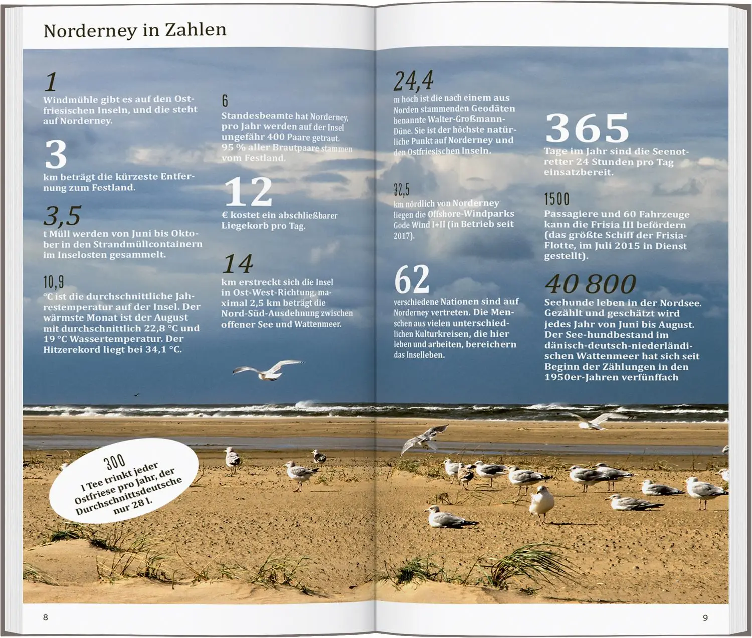Bild: 9783616001326 | DUMONT direkt Reiseführer Norderney | Mit großem Faltplan | Banck