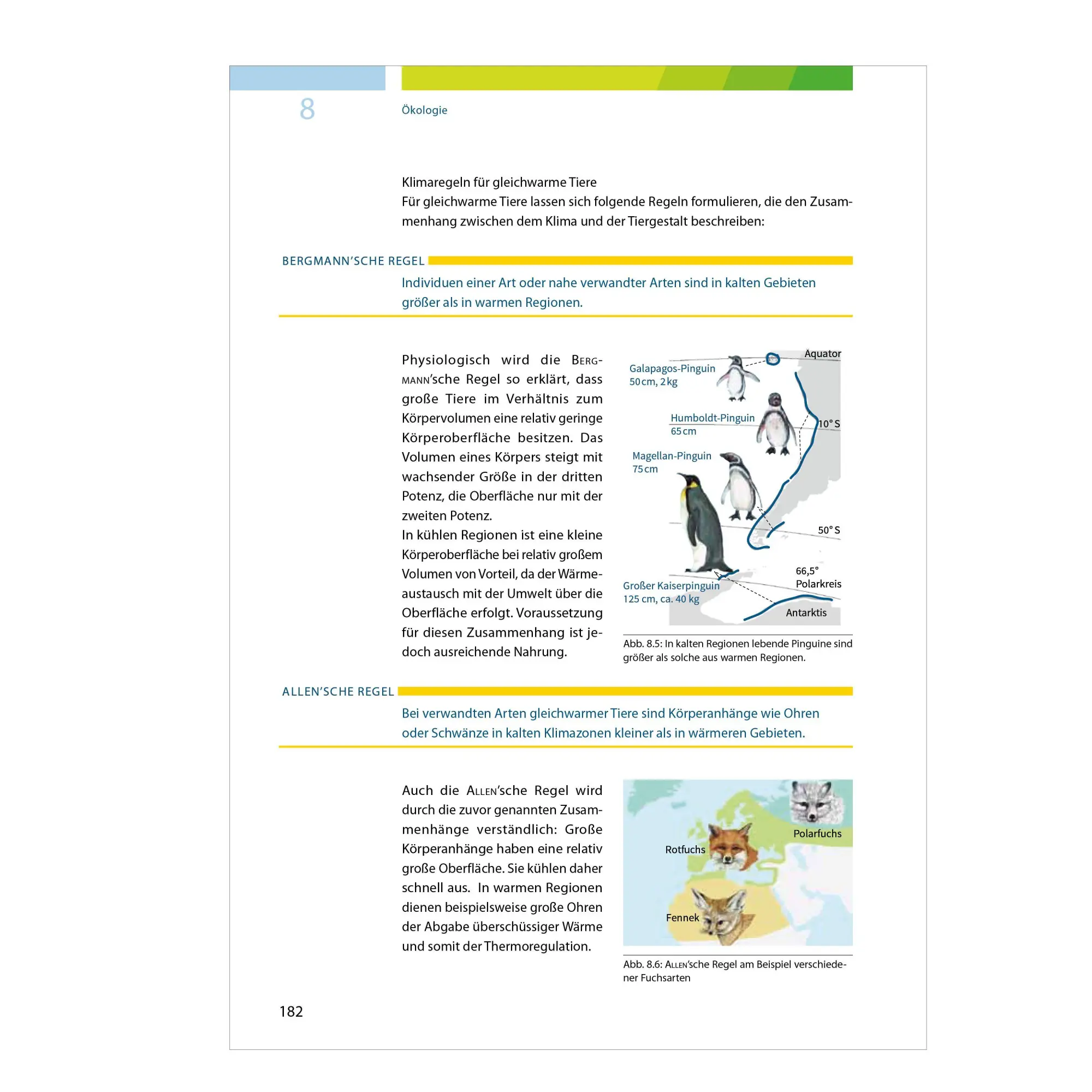 Bild: 9783070031426 | Fit fürs Abi | Fit fürs Abi. Biologie Oberstufenwissen. Ausgabe 2024