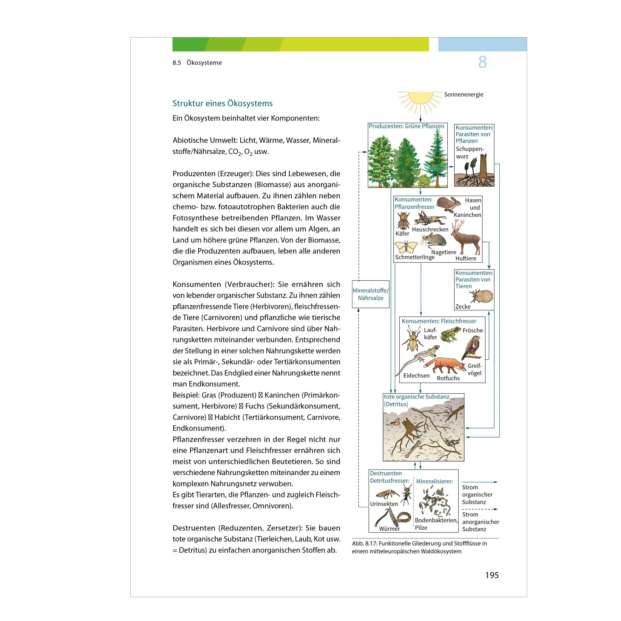 Bild: 9783070031426 | Fit fürs Abi | Fit fürs Abi. Biologie Oberstufenwissen. Ausgabe 2024