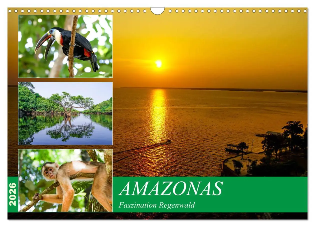 Cover: 9783457841426 | Amazonas - Faszination Regenwald (Wandkalender 2026 DIN A3 quer),...