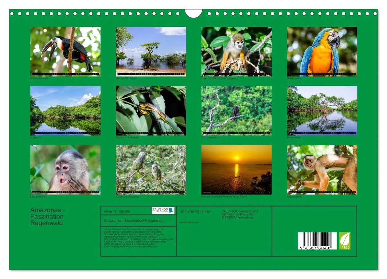 Bild: 9783457841426 | Amazonas - Faszination Regenwald (Wandkalender 2026 DIN A3 quer),...