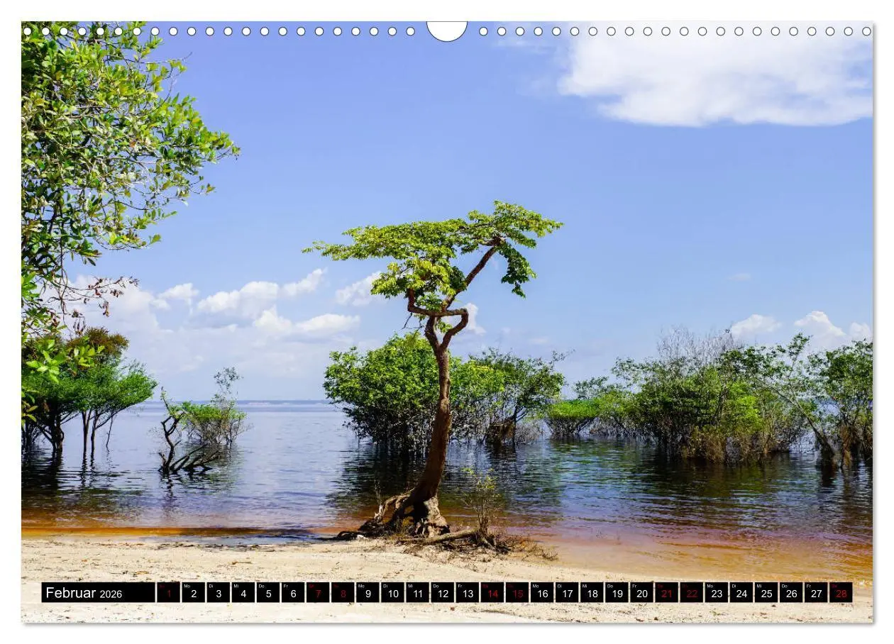 Bild: 9783457841426 | Amazonas - Faszination Regenwald (Wandkalender 2026 DIN A3 quer),...