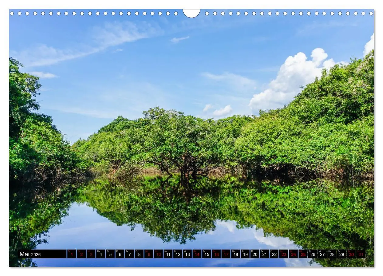 Bild: 9783457841426 | Amazonas - Faszination Regenwald (Wandkalender 2026 DIN A3 quer),...
