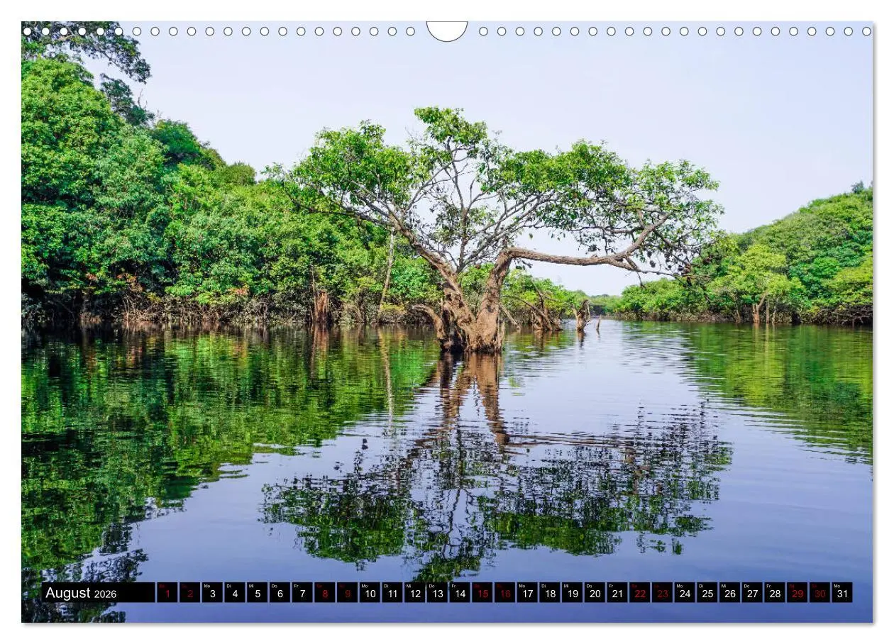 Bild: 9783457841426 | Amazonas - Faszination Regenwald (Wandkalender 2026 DIN A3 quer),...
